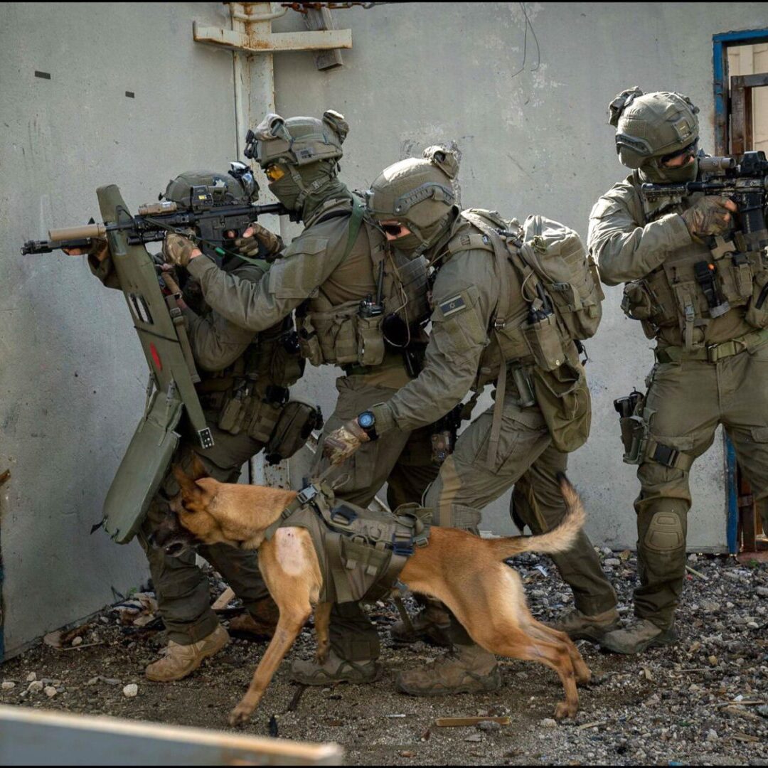 Armed soldiers with a trained dog